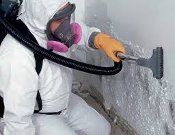 Best Attic Mold Removal  in North Syracuse, NY